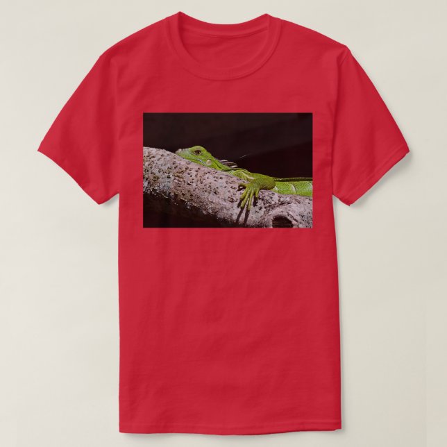 Camiseta Visão Alternativa do Lagarto Verde (Frente do Design)