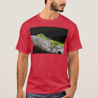 Camiseta Visão Alternativa do Lagarto Verde