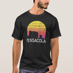 Camiseta Visitantes do Skyline Vint na cidade de Pensacola