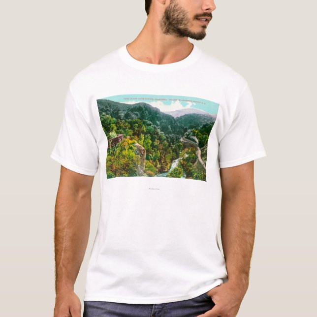 Camiseta Vista aérea da garganta, Trai pacífico do sul (Frente)
