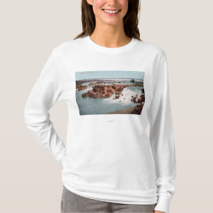 Camiseta Vista aérea das quedas e da ponte