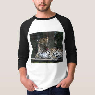 Camiseta Vista bom