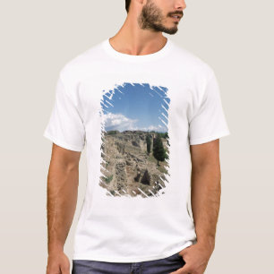 Camiseta Vista da cidade arruinada