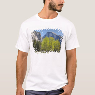 Camiseta Vista da meia abóbada