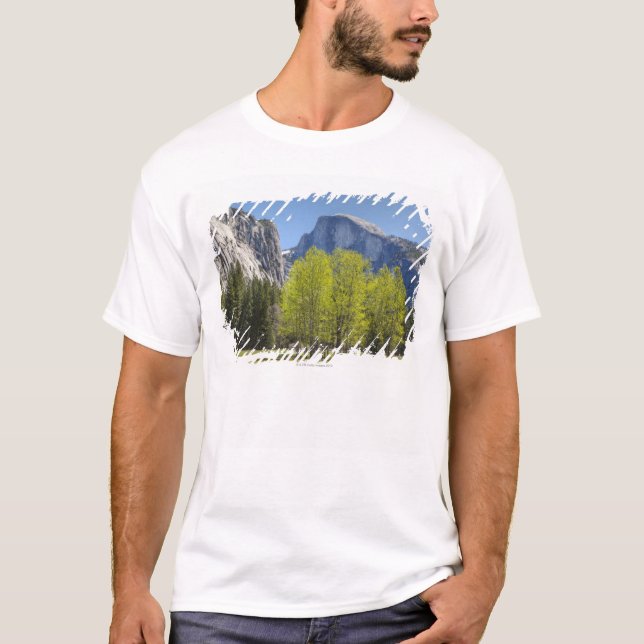 Camiseta Vista da meia abóbada (Frente)
