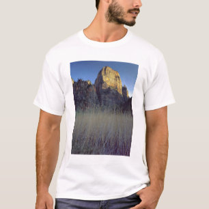 Camiseta Vista da planície de inundação do Rio Virgin, Zion