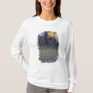 Camiseta Vista da planície de inundação do Virgin River, Zi
