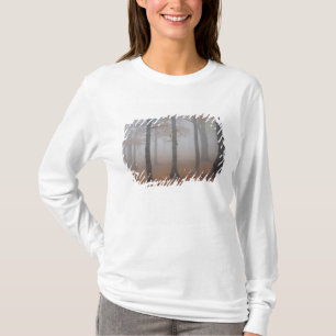 Camiseta Vista de outono de floresta nebulosa, Avô