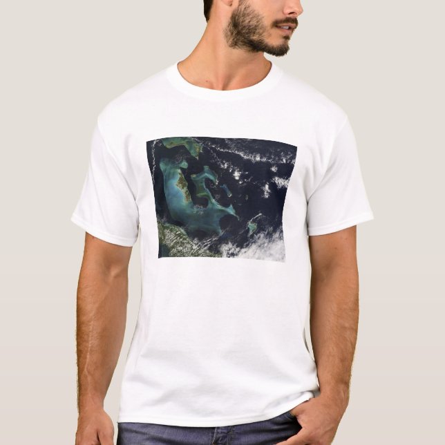 Camiseta Vista de satélite das Ilhas Bahama (Frente)