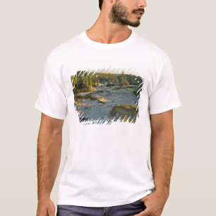 Camiseta Vista de um lago e das colinas de areia circundant