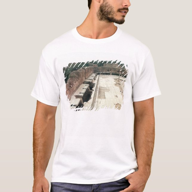 Camiseta Vista de um lavabos comunal (Frente)
