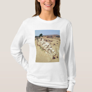 Camiseta Vista de uma das estátuas gigantes de Telemon