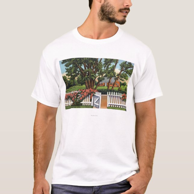 Camiseta Vista de uma residência catita (Frente)