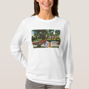 Camiseta Vista de uma residência catita