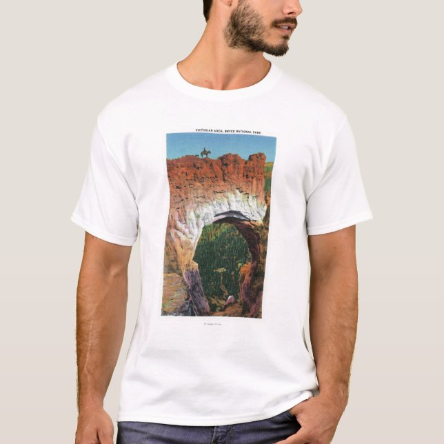 Camiseta Vista do arco do Victorian (Frente)