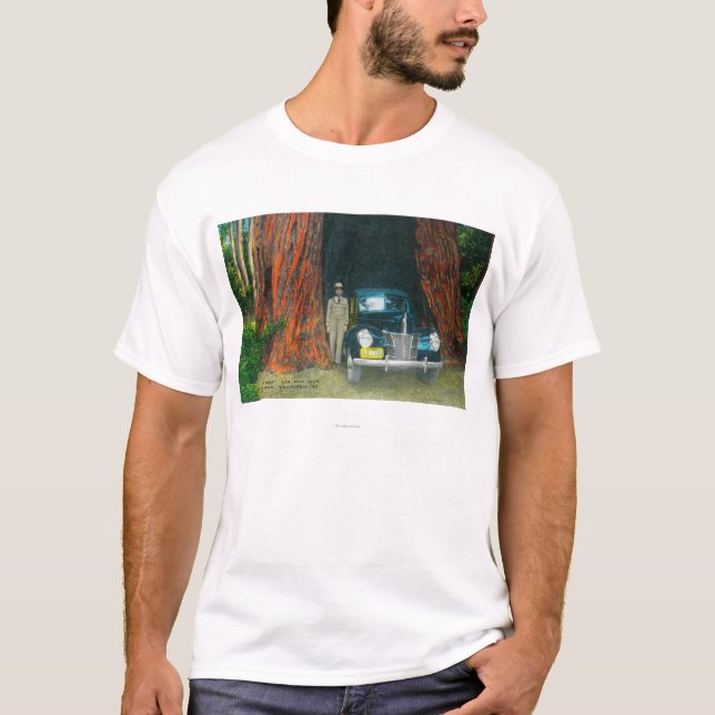 Camiseta Vista do auto parque estadual da bacia de TreeBig, (Frente)