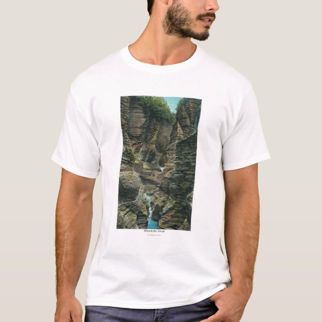 Camiseta Vista do desfiladeiro de Minnehaha (Frente)