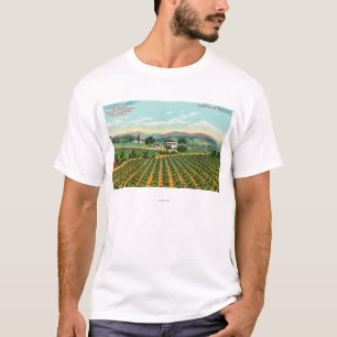 Camiseta Vista do Giersberg VineyardNapa, CA