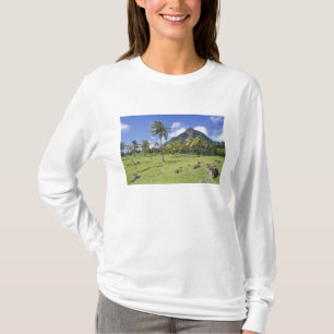 Camiseta vista do Gros Piton ao longo da trilha histórica e