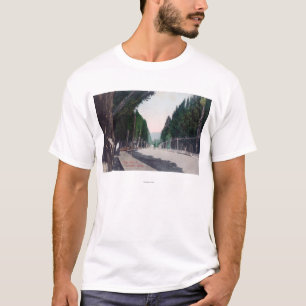 Camiseta Vista oriental em StreetLewiston principal,