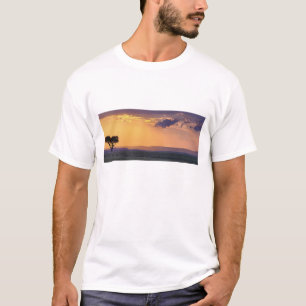 Camiseta Vista panorâmica de uma única árvore acácia em