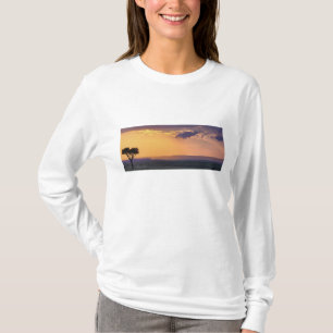 Camiseta Vista panorâmica de uma única árvore de acácia em