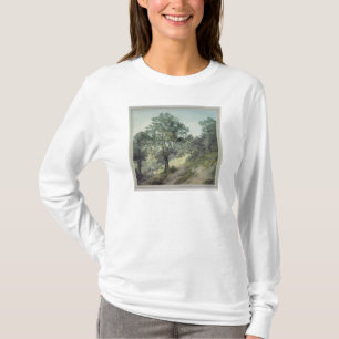 Camiseta Vista perto de Cantonteign, Devon