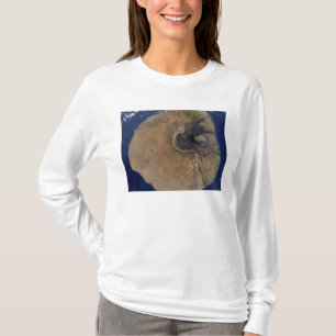 Camiseta Vista satélite da montagem Fogo