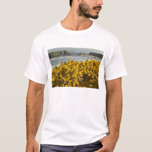 Camiseta Vistas costeiras, Bandon, Oregon