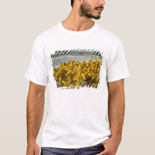 Camiseta Vistas costeiras, Bandon, Oregon