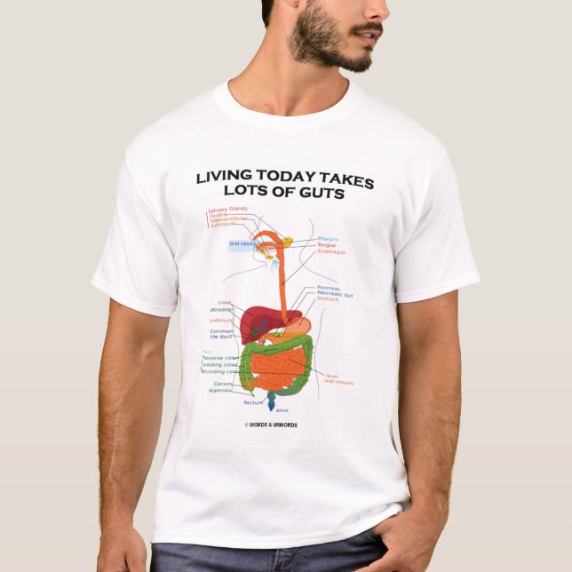 Camiseta Viver hoje toma lotes da entranhas (o sistema (Frente)