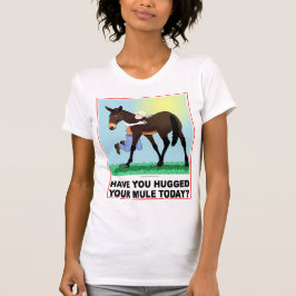 Camiseta Você abraçou sua mula hoje?