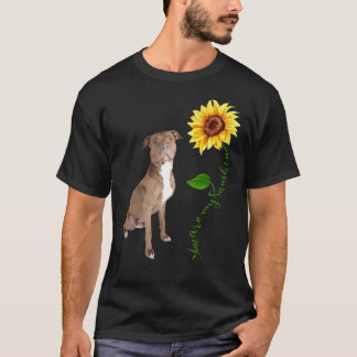 Camiseta Você É O Meu Urso Sol