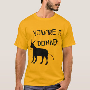 Camiseta Você é um asno
