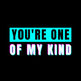 Camiseta Você é um dos meus tipos