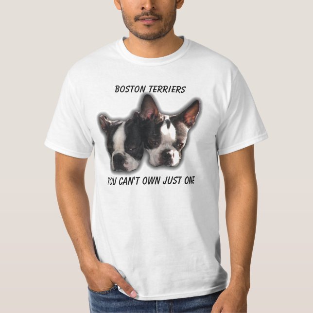 Camiseta Você não pode possuir apenas um (Frente)