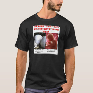 CAMISETA VOCÊ SABE QUE VOCÊ VIVE EM UM PAÍS FUNCIONOU PO