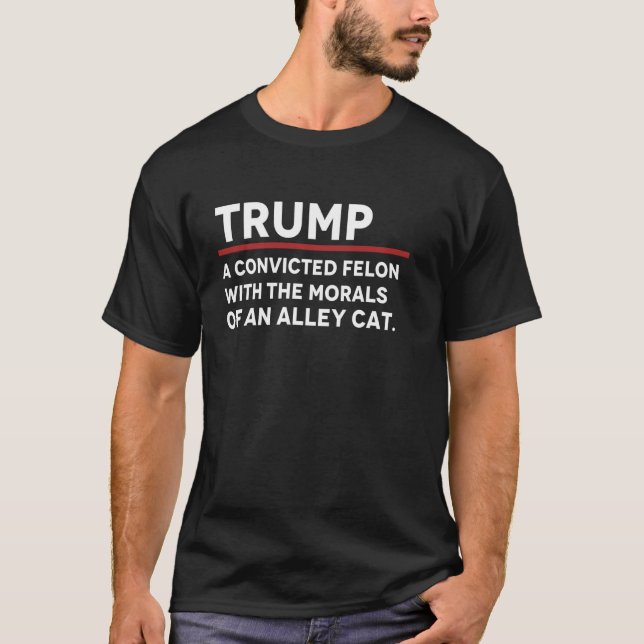 Camiseta você tem a moral de um gato de rua 2 (Frente)