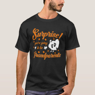 Camiseta Você Vai Ser Avós Anúncio de Gravidez