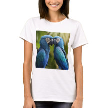 Voo Azure: Arara Azul 