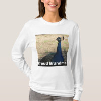 Vovó Orgulhosa Vibrante Foto Pavão Natureza