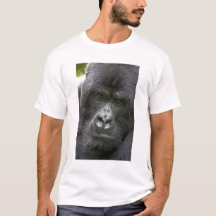 Camiseta vulcões NP, Ruanda, Gorilas de Montanha,