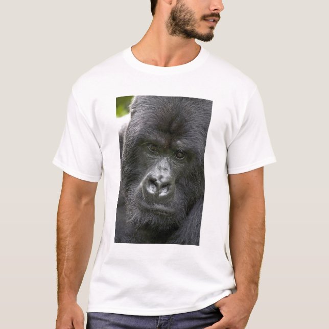 Camiseta vulcões NP, Ruanda, Gorilas de Montanha, (Frente)