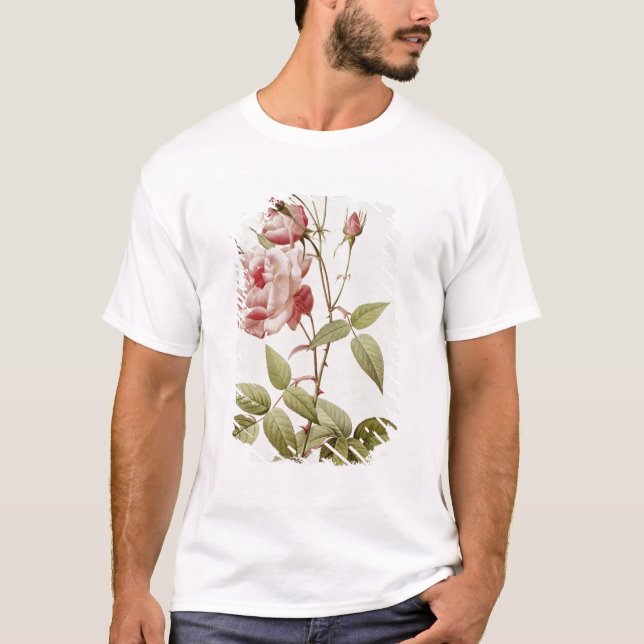 Camiseta Vulgar Indica de Rosa, 'dos rosas de Les (Frente)