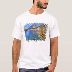 Camiseta WA, Alpine Lakes Wilderness, Enchantment 4