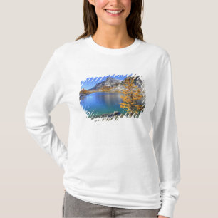 Camiseta WA, Alpine Lakes Wilderness, Enchantment 4