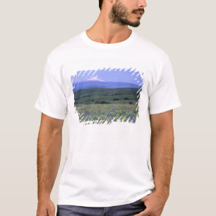 Camiseta WA, Condado de Klickitat, Dalles Mountain Ranch,