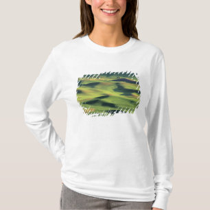 Camiseta WA, Condado de Whitman, terras agrícolas de Palous