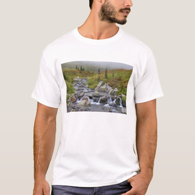 Camiseta WA, Mt. Rainier National Park, Edith Creek (Frente)