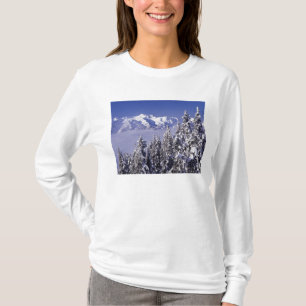 Camiseta WA, Olimpiadas NP, Olimpiadas Mountain Range, exib